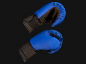 Boxing Gloves Blue 3D 模型
