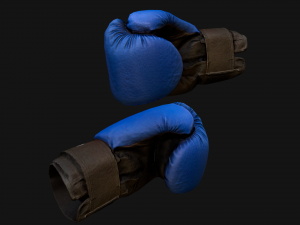Boxing Gloves Blue 3D 模型