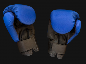 Boxing Gloves Blue 3D 模型