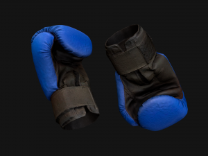 Boxing Gloves Blue 3D 模型