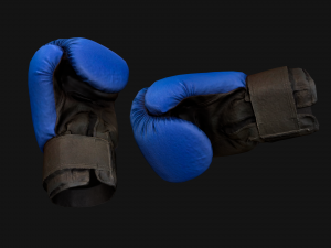 Boxing Gloves Blue 3D 模型