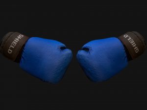 Boxing Gloves Blue 3D 模型