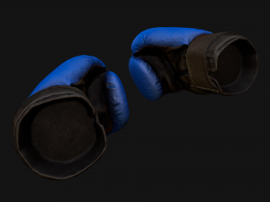 Boxing Gloves Blue 3D 模型