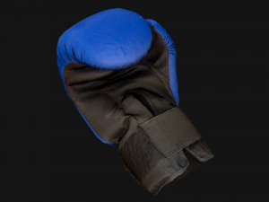 Boxing Gloves Blue 3D 模型