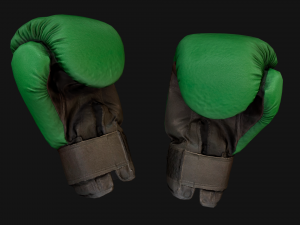 Boxing Gloves Green Military 3D Model