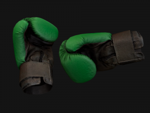 Boxing Gloves Green Military 3D Model