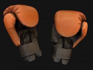 Boxing Gloves Orange Modelo 3D
