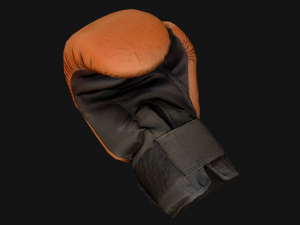 Boxing Gloves Orange Modelo 3D
