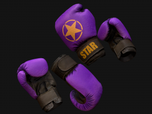 Boxing Gloves Purple Star 3D Model