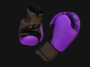 Boxing Gloves Purple Star 3D Модель