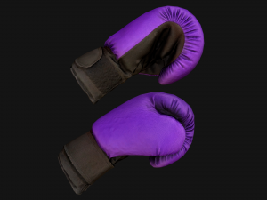 Boxing Gloves Purple Star 3D Модель