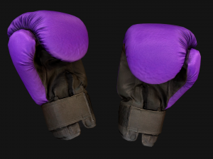 Boxing Gloves Purple Star 3D Модель