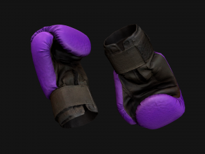 Boxing Gloves Purple Star 3D Модель