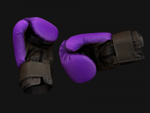 Boxing Gloves Purple Star 3D Модель