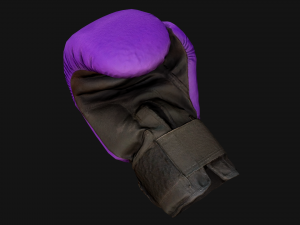 Boxing Gloves Purple Star 3D Модель