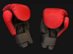Boxing Gloves Red 3D Model