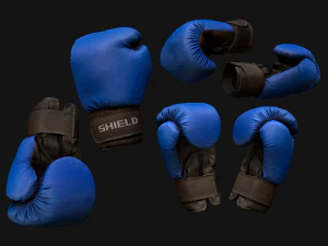 Boxing Gloves Pack 3D Model