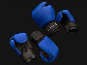 Boxing Gloves Pack 3D Model