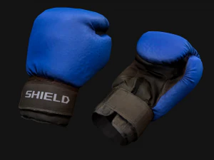 Boxing Gloves Pack 3D Model