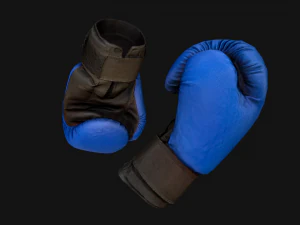 Boxing Gloves Pack 3D Model