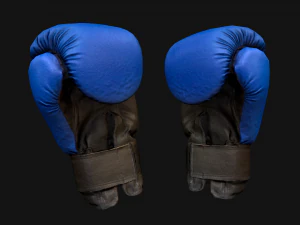 Boxing Gloves Pack 3D Model