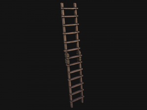 Ladder 3D Model