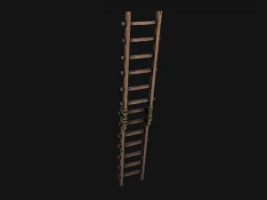 Ladder 3D Model