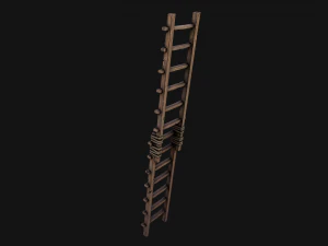 Ladder 3D Model
