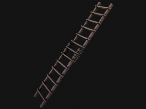 Ladder 3D Model