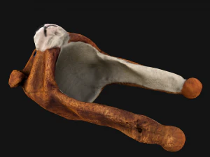 Tatil Maskesi Ayı Şapkası 3D Model