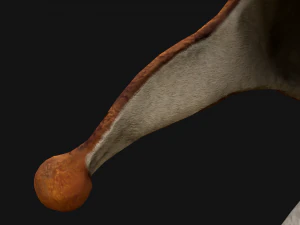 Tatil Maskesi Ayı Şapkası 3D Model