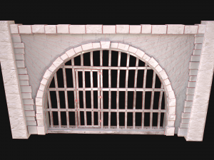 Medieval Prison Bars with Door Modèle 3D