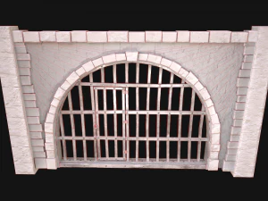 Medieval Prison Bars with Door 3D Model