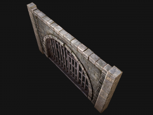 Medieval Prison Bars with Door Modèle 3D