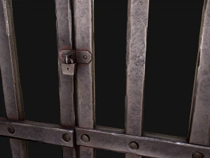 Medieval Prison Bars with Door 3D Model