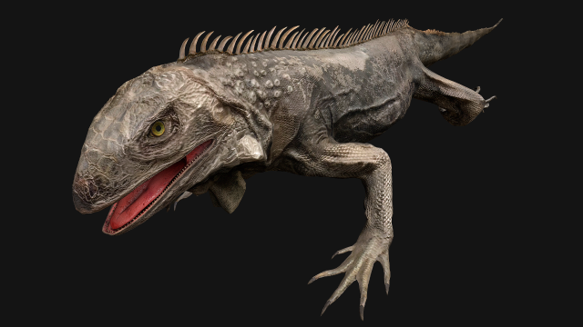 Iguana Reptile 3D Model .c4d .max .obj .3ds .fbx .stl .blend 