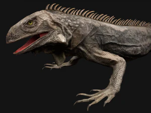 Iguana Reptile 3D Model