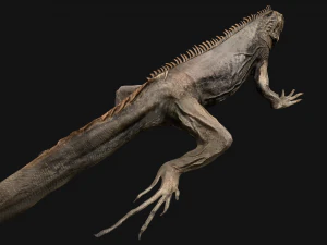 Iguana Reptile 3D Model