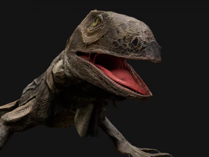 Iguana Reptile 3D Model