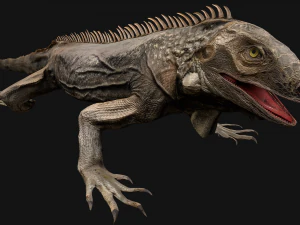 Iguana Reptile 3D Model