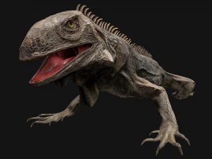 Iguana Reptile 3D Model