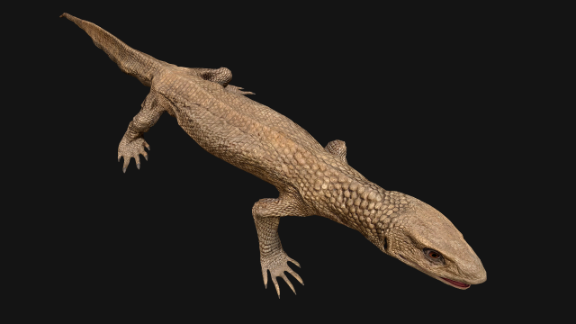Varan Lizard Reptile Monster 3D 모델 .c4d .max .obj .3ds .fbx .stl .blend 