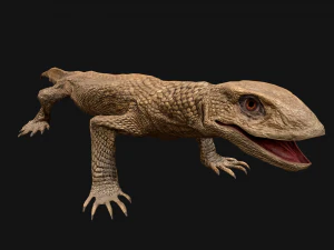 Varan Lizard Reptile Monster 3D Model