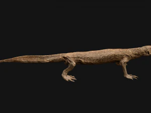 Varan Lizard Reptile Monster 3D Model
