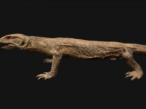 Varan Lizard Reptile Monster 3D Model