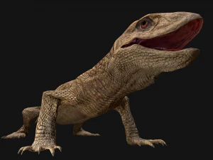 Varan Lizard Reptile Monster 3D Model