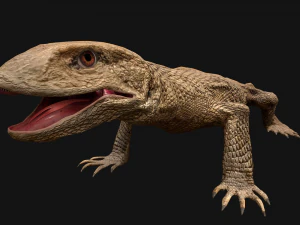 Varan Lizard Reptile Monster 3D Model