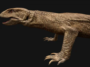 Varan Lizard Reptile Monster 3D Model