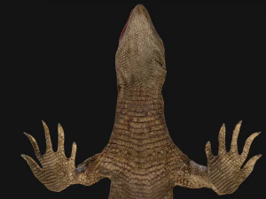 Varan Lizard Reptile Monster 3D Model