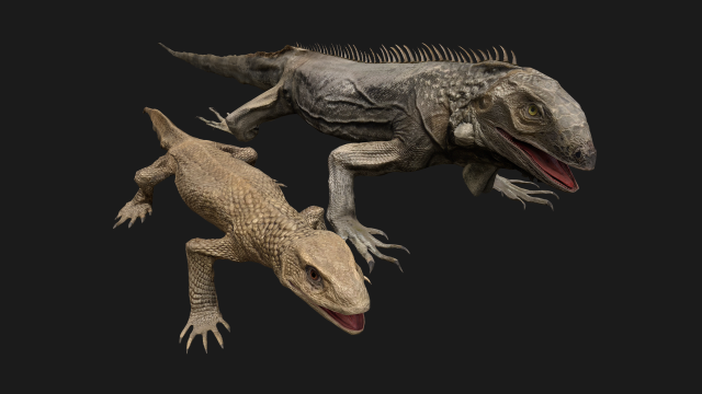 Reptile set 3D मॉडल .c4d .max .obj .3ds .fbx .stl .blend 
